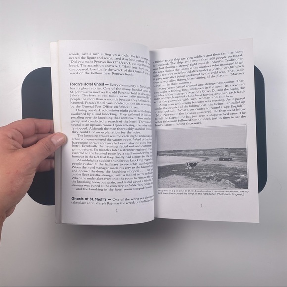 2/$50 - Strange but True Newfoundland Stories by Jack Fitzgerald - Picture 8 of 12